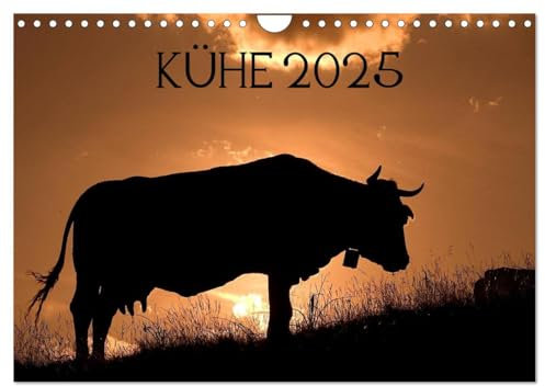 Kühe 2025 (Wandkalender 2025 DIN A4 quer), CALVENDO Monatskalender: Kühe in den Pyrenäen - fotografiert von Jorge Ruiz del Olmo (CALVENDO Tiere)
