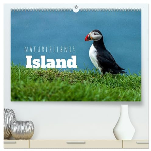 Naturerlebnis Island (hochwertiger Premium Wandkalender 2026 DIN A2 quer), Kunstdruck in Hochglanz: Panoramen der Insel aus Feuer und Eis (CALVENDO Natur)