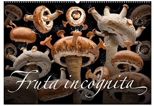 Fruta incognita - Die wundersame Welt des Fotografen Olaf Bruhn (Wandkalender 2026 DIN A2 quer), CALVENDO Monatskalender: Einer der wohl ... Olaf Bruhn. (CALVENDO Lifestyle)