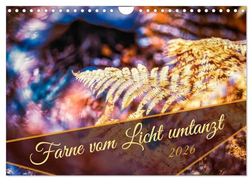 Farne vom Licht umtanzt (Wandkalender 2026 DIN A4 quer), CALVENDO Monatskalender: Farne bei verschiedenen Lichtstimmungen (CALVENDO Natur)