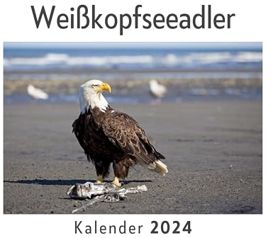 Weißkopfseeadler (Wandkalender 2024, Kalender DIN A4 quer, Monatskalender im Querformat mit Kalendarium, Das perfekte Geschenk)