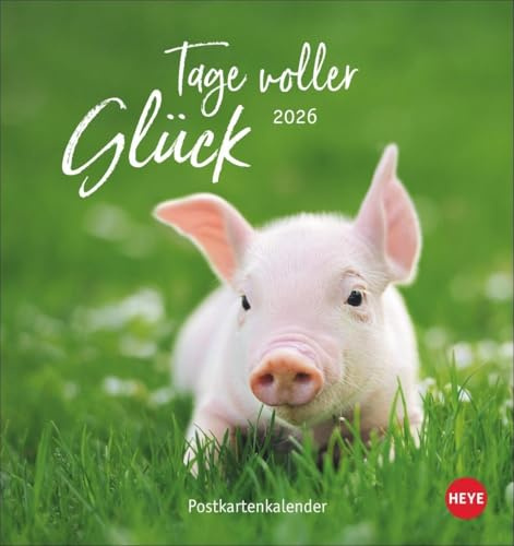 Tage voller Glück Postkartenkalender 2026: Kalender mit Postkarten zum Sammeln oder Verschicken. Inspirierende Fotos mit Sprüchen. Fotokalender zum Aufstellen oder Aufhängen. (Postkartenkalender Heye)