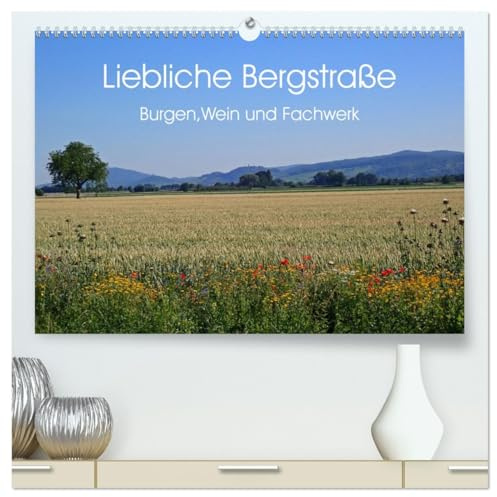 Liebliche Bergstraße - Burgen, Wein und Fachwerk (hochwertiger Premium Wandkalender 2026 DIN A2 quer), Kunstdruck in Hochglanz: Weinberge,Burgen und ... Natur und ihrer Gastlichkeit. (CALVENDO Orte)