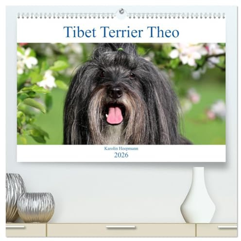 Tibet Terrier Theo (hochwertiger Premium Wandkalender 2026 DIN A2 quer), Kunstdruck in Hochglanz: Mit dem fröhlichen Theo durch das Jahr! (CALVENDO Tiere)