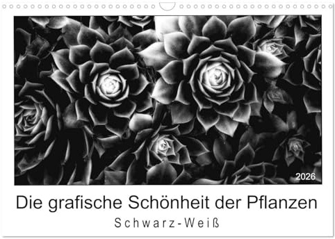 Die grafische Schönheit der Pflanzen – Schwarz-Weiß (Wandkalender 2026 DIN A3 quer), CALVENDO Monatskalender: 13 eindrucksvolle Naturaufnahmen in Schwarzweiß (CALVENDO Orte)