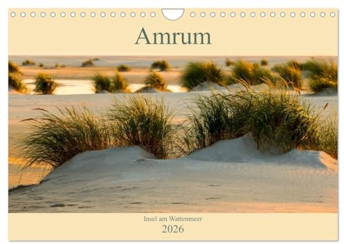 Amrum Insel am Wattenmeer (Wandkalender 2026 DIN A4 quer), CALVENDO Monatskalender: Amrum ist eine nordfriesiesche Insel südlich von Sylt. (CALVENDO Orte)