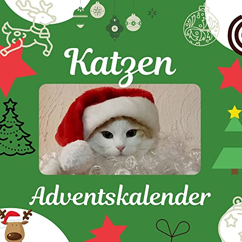 Katzen: Adventskalender