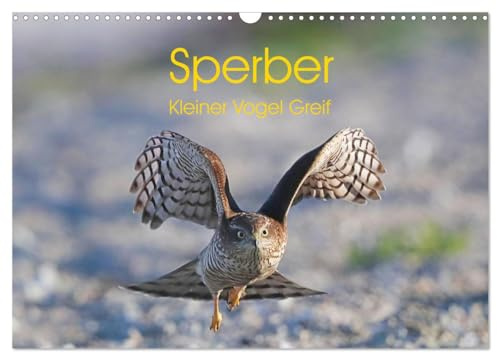 Sperber - Kleiner Vogel Greif (Wandkalender 2026 DIN A3 quer), CALVENDO Monatskalender: Eindrücke aus dem Leben eines Sperberpaares (CALVENDO Tiere)