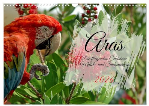Aras - die fliegenden Edelsteine Mittel- und Südamerikas (Wandkalender 2026 DIN A3 quer), CALVENDO Monatskalender: Portraits diverser Großpapageien (CALVENDO Tiere)