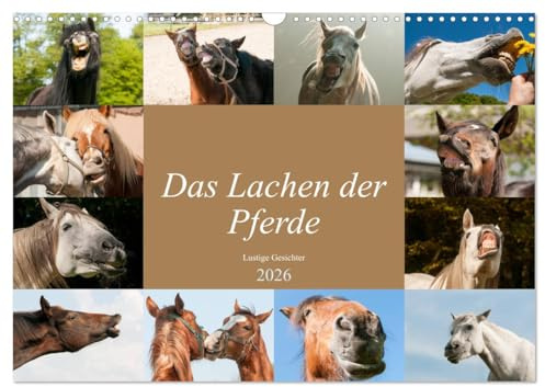 Das Lachen der Pferde - Lustige Gesichter (Wandkalender 2026 DIN A3 quer), CALVENDO Monatskalender: Pferdeporträts die Spaß bereiten (CALVENDO Tiere)