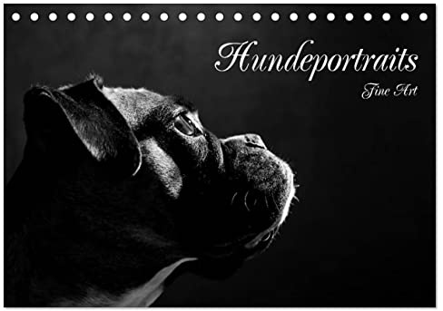 Hundeportraits Fine Art (Tischkalender 2026 DIN A5 quer), CALVENDO Monatskalender: Hundeportraits in schwarz/weiß (CALVENDO Tiere)