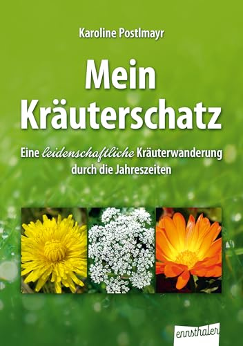Mein Kräuterschatz: Eine leidenschaftliche Kräuterwanderung durch die Jahreszeiten
