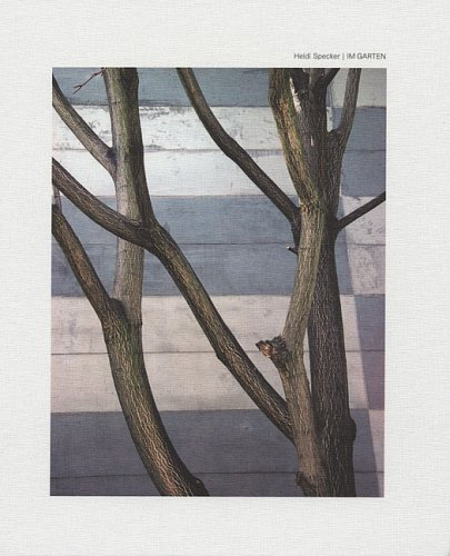 Steidl