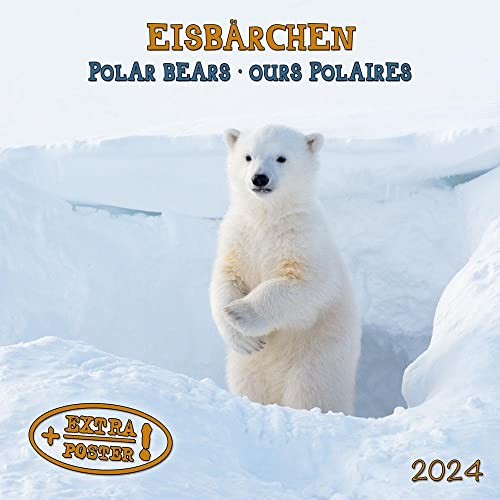 Polar Bears/Eisbärchen 2024: Kalender 2024