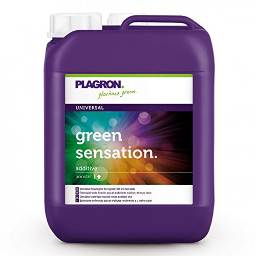 Plagron Green Sensation, 5 L, grün