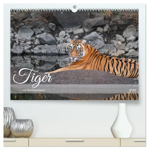Tiger von Ranthambore (hochwertiger Premium Wandkalender 2026 DIN A2 quer), Kunstdruck in Hochglanz: Wilde Raubkatzen hautnah (CALVENDO Tiere)