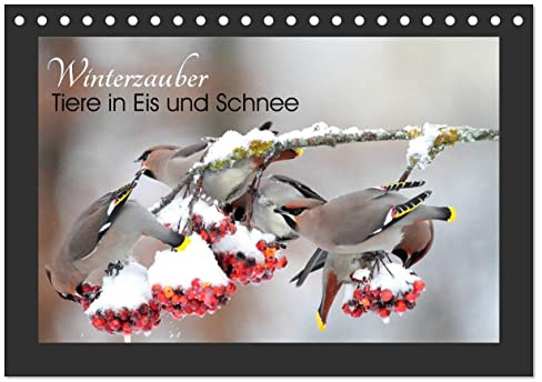 Winterzauber - Tiere in Eis und Schnee (Tischkalender 2026 DIN A5 quer), CALVENDO Monatskalender: Impressionen der vierten Jahreszeit aus der heimischen Fauna für Winterfans. (CALVENDO Orte)