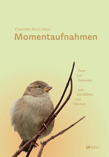 Momentaufnahmen: Texte und Gedanken zum Nachfühlen und Träumen