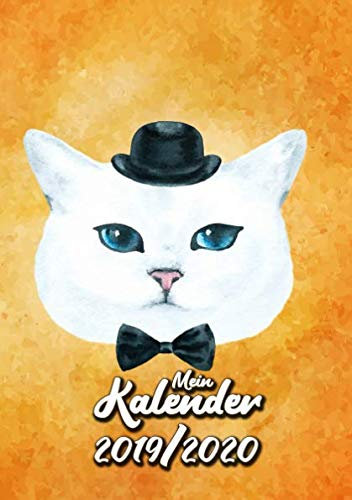 Mein Kalender 2019/2020: Schülerkalender für Katzenfreunde
