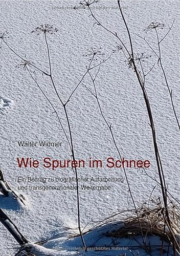 Wie Spuren im Schnee: Ein Beitrag zu biografischer Aufarbeitung und transgenerationaler Weitergabe