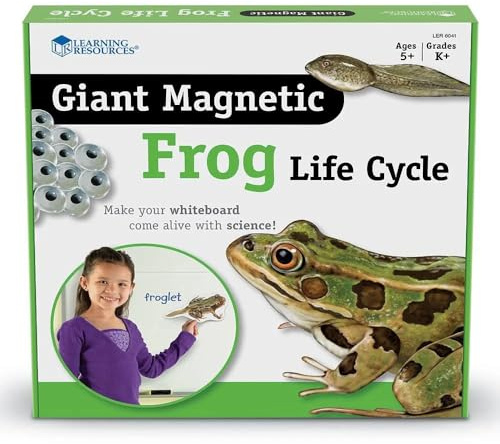 Learning Resources Riesiger Magnetischer Lebenszyklus eines Frosches
