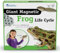 Learning Resources Cycle de la Vie d'une Grenouille en aimants géants