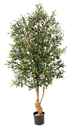 Olivenbaum mit 4160 Blätter und 120 Oliven, B1 schwer entflammbar, Höhe ca. 170cm - Künstlicher Oliven Baum