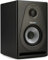 SAMSON Resolv SE5 Studio-Monitor (1 Lautsprecher, aktiv), Schwarz
