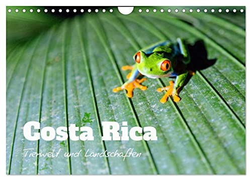 Costa Rica - Tierwelt und Landschaften (Wandkalender 2025 DIN A4 quer), CALVENDO Monatskalender: Bunte Naturwunder aus Mittelamerika (CALVENDO Natur)