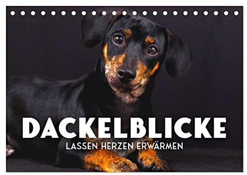 Dackelblicke - Lassen Herzen erwärmen. (Tischkalender 2026 DIN A5 quer), CALVENDO Monatskalender: Zum Verlieben. (CALVENDO Tiere)