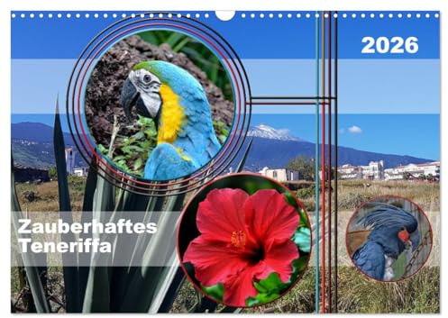 Zauberhaftes Teneriffa (Wandkalender 2026 DIN A3 quer), CALVENDO Monatskalender: Fantastische Ausflüge auf Teneriffa (CALVENDO Orte)
