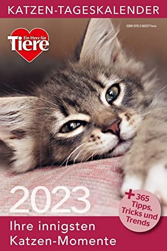 Ein Herz für Tiere: Katzen Tageskalender 2023 (Tischkalender, Wandkalender)