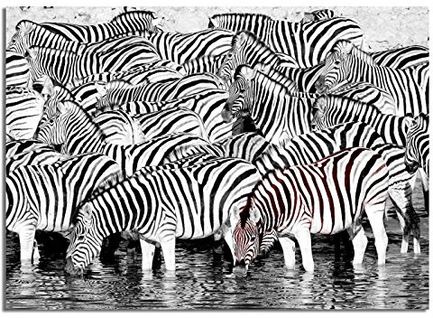 Dsign24 EG4503000665 HD Echt-Glasbild, Deco Glass, 50 x 30 cm, Living, Africa Zebra Safari II