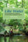 Like Water: The Extraordinary Approach to Education at Fairhaven School