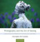 Photography and the Art of Seeing: A Visual Perception Workshop: A Visual Perception Workshop for Film and Digital Photography