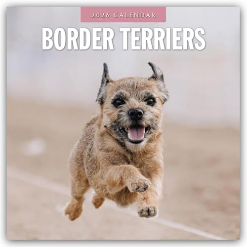 Border Terriers – Border Terrier 2026 – 16-Monatskalender: Original Red Robin Publishing Ltd-Kalender [Mehrsprachig] [Kalender] (Wall-Kalender)