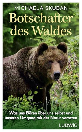 Botschafter des Waldes: Was uns Bären über uns selbst und unseren Umgang mit der Natur verraten