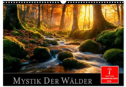 Mystik der Wälder (Wandkalender 2026 DIN A3 quer), CALVENDO Monatskalender: Eine fabelhafte Reise in zauberhafte Waldlandschaften. (CALVENDO Natur)