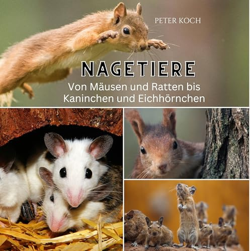 Nagetiere: Von Mäusen und Ratten bis Kaninchen und Eichhörnchen