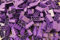 LEGO Bricks: Dark Purple 2x4. Part 3001 (X 25)