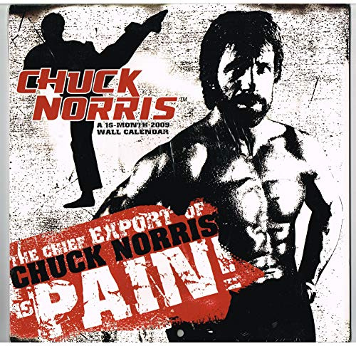 Chuck Norris 2009 Calendar