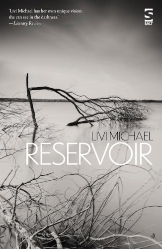 Reservoir (Salt Modern Fiction): Memory, trauma, and childhood violence, haunt this novel of unspoken pasts