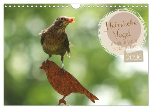Heimische Vögel - Im Wald, im Garten und auf der Wiese (Wandkalender 2026 DIN A4 quer), CALVENDO Monatskalender: Wildvögel von klein bis groß in der ... fotografisch festgehalten. (CALVENDO Tiere)