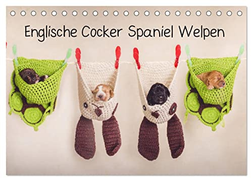 Englische Cocker Spaniel Welpen (Tischkalender 2026 DIN A5 quer), CALVENDO Monatskalender: Monatskalender mit Cocker Babys (CALVENDO Tiere)