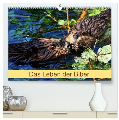 Das Leben der Biber (hochwertiger Premium Wandkalender 2026 DIN A2 quer), Kunstdruck in Hochglanz: Größte Nagetier in Europa (CALVENDO Tiere)