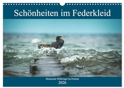 Schönheiten im Federkleid - Heimische Wildvögel im Portrait (Wandkalender 2026 DIN A3 quer), CALVENDO Monatskalender: Ein Einblick in die Farbenvielfalt unserer Wildvögel (CALVENDO Tiere)