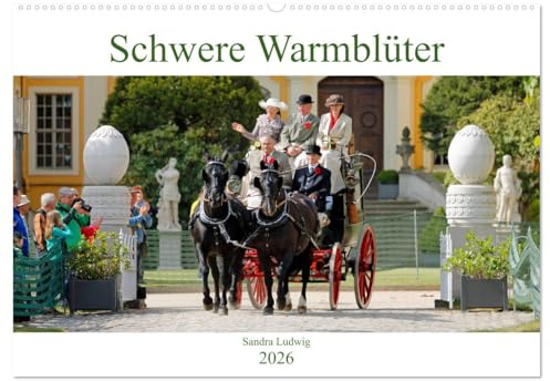 Schwere Warmblüter 2026 (Wandkalender 2026 DIN A2 quer), CALVENDO Monatskalender: Faszination Schweres Warmblut in zwölf schönen Monatsbildern! (CALVENDO Tiere)