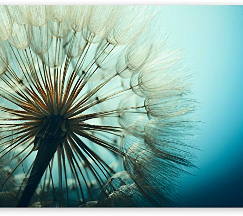 murando - Vlies Fototapete Pusteblumen 350x256cm Foto Tapete Schlafzimmer Wohnzimmer Vliestapete XXL Motivtapeten Bildtapete 3d Effekt Wand Dekoration - Natur Landschaft Blumen blau ombre b-B-0059-a-c