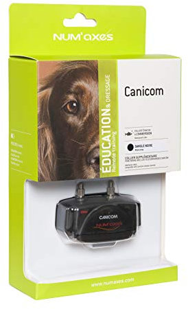 Collier Seul/SUPPLEMENTAIRE CANICOM avec Sangle Noire - Dressage pour Chien