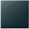Gira Serienwippe 029528 System 55 anthrazit